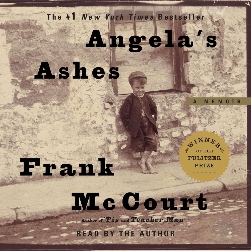 🆕Angela's Ashes book